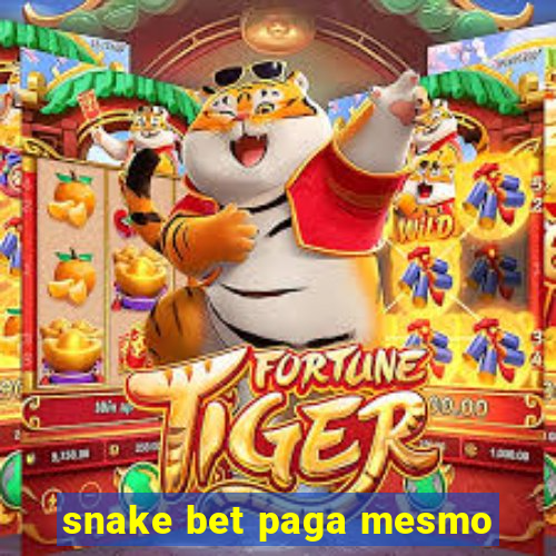 snake bet paga mesmo